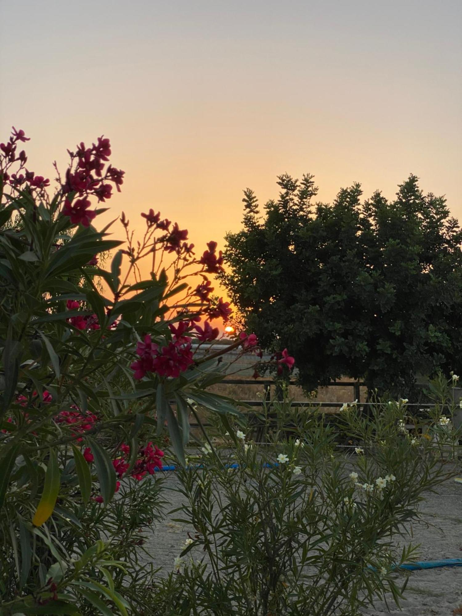 Arion Stables & Apartments แอร์ซอนิสซอส ภายนอก รูปภาพ